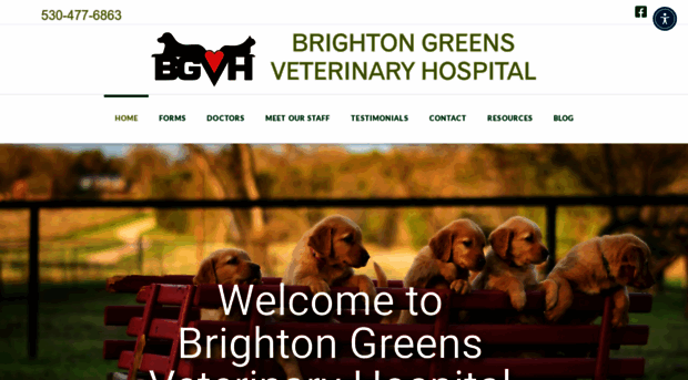 brightongreensvet.com