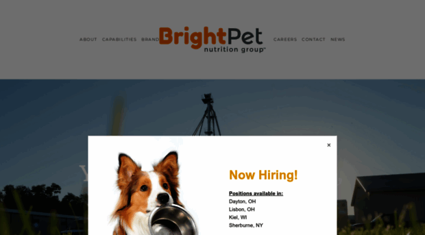 brightpetnutrition.com