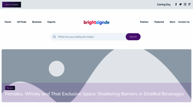 brightsignal.de