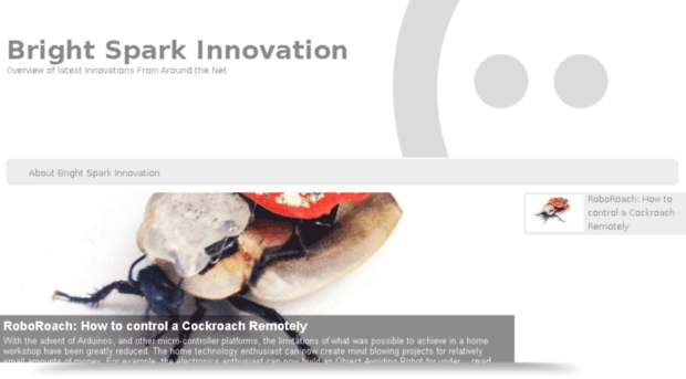 brightsparkinnovation.com