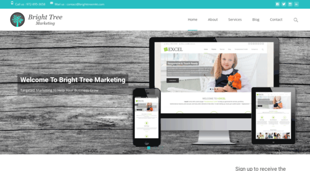 brighttreemarketing.com