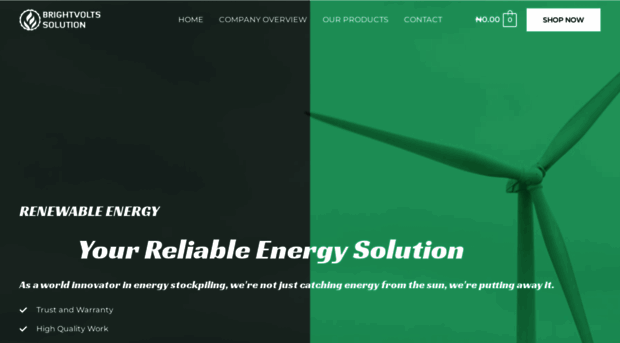 brightvoltsolutions.com