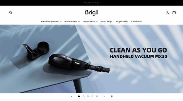 brigii.com