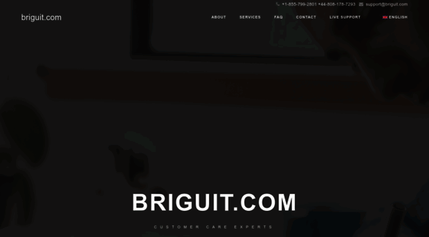 briguit.com