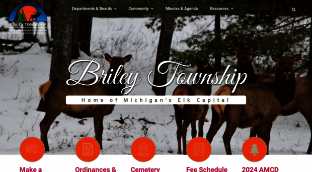 brileytownship.com