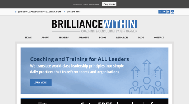 brilliancewithincoaching.com