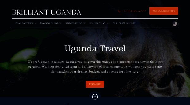 brilliant-uganda.com