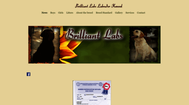 brilliantlabs.weebly.com