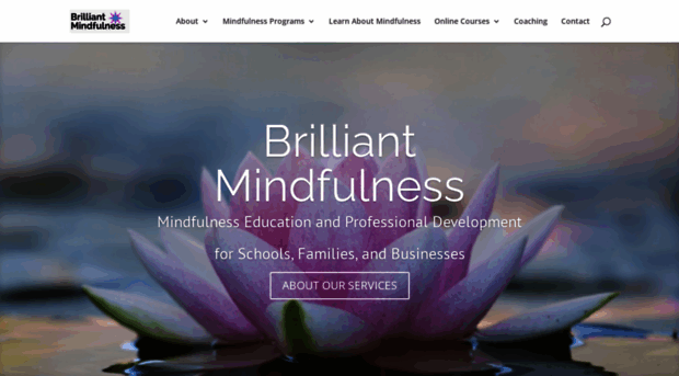 brilliantmindfulness.com