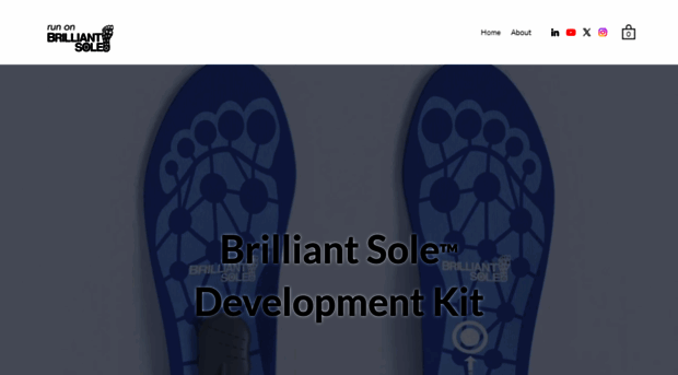 brilliantsole.com