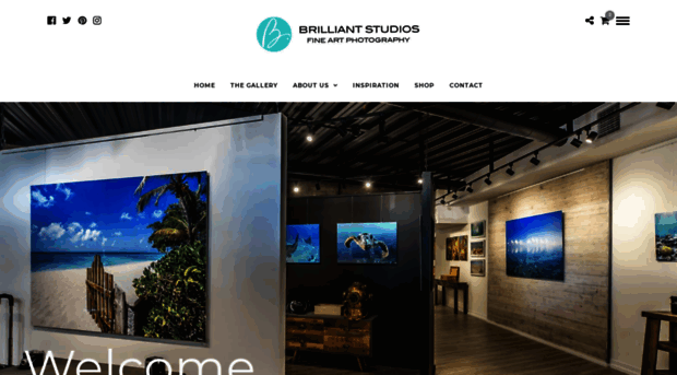 brilliantstudiosgallery.com