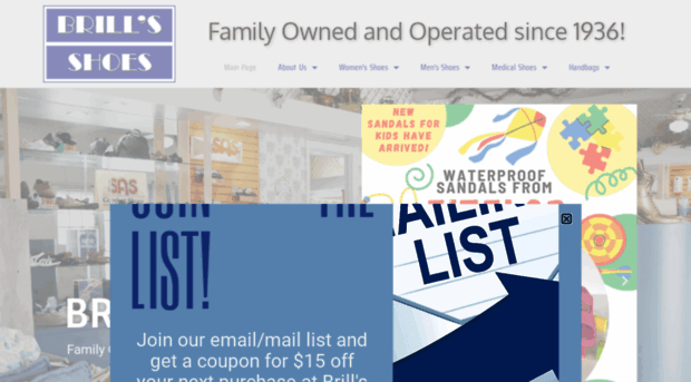 brillsshoes.net