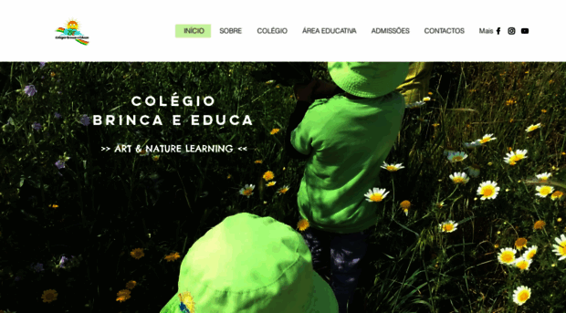 brincaeduca.com