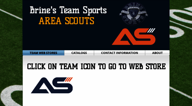 brineteamsports.com