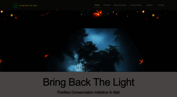 bringbackthelight.org