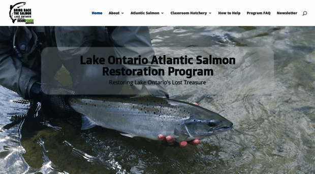 bringbackthesalmon.ca