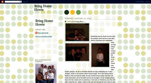 bringhomehowie.blogspot.com