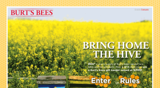 bringhomethehive.ca