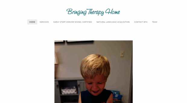 bringingtherapyhome.com