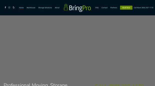 bringpro.com