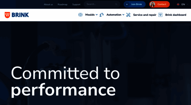 brinkbv.com