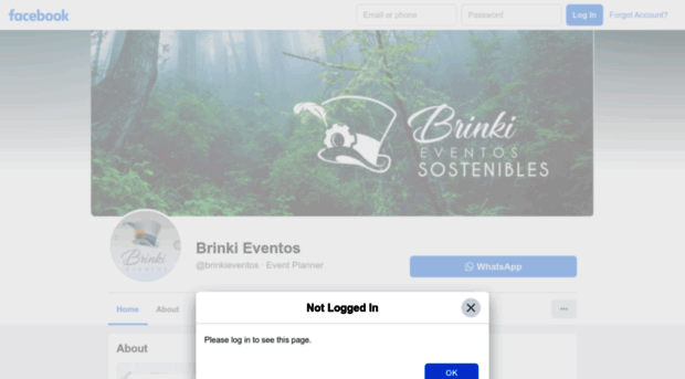 brinkieventos.com