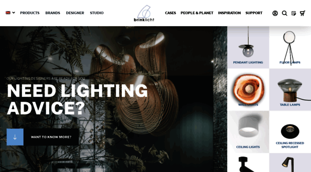 brinklight.com