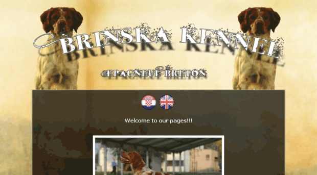 brinska.com