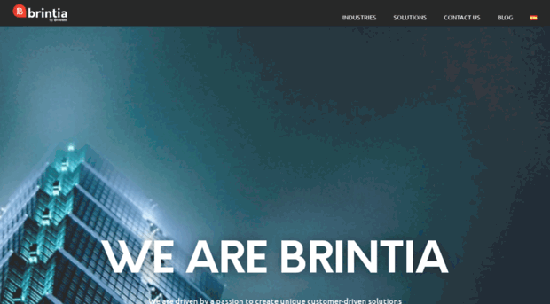 brintia.com