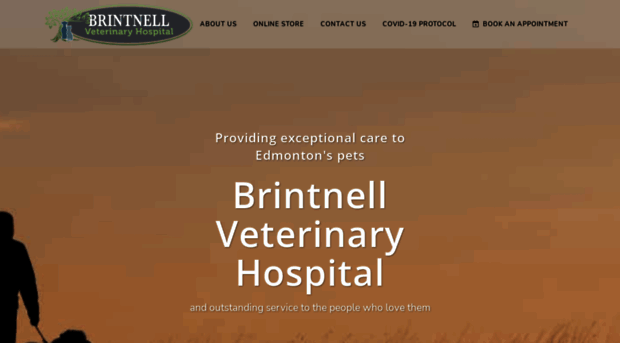 brintnellvet.com