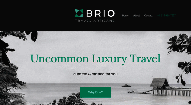 brio.travel