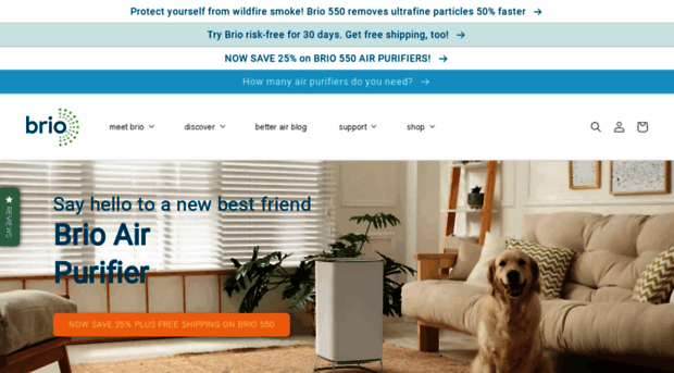 brioairpurifier.com