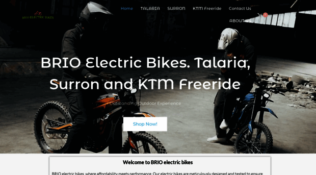 brioelectricbikes.com