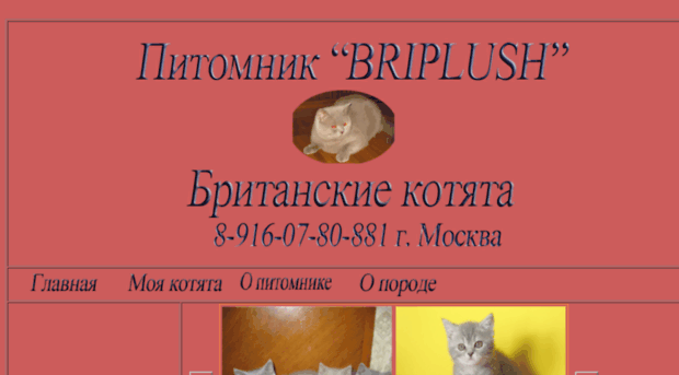 briplush.ru