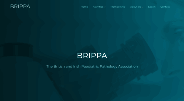 brippa.org