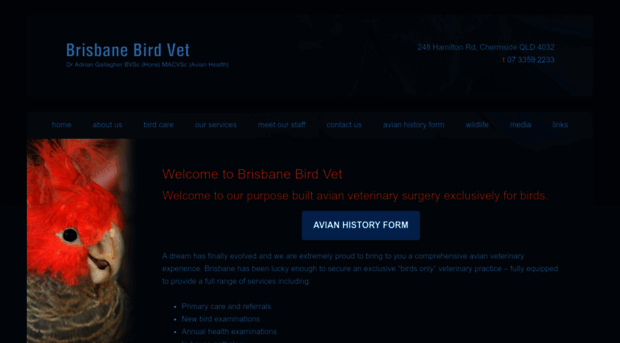 brisbanebirdvet.com.au