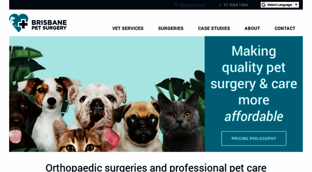 brisbanepetsurgery.com.au