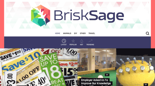 brisksage.com