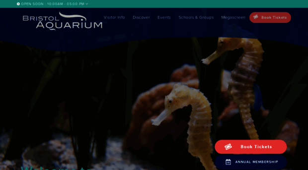 bristolaquarium.co.uk