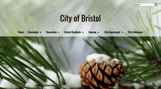 bristolsd.com