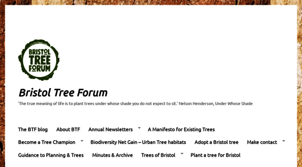 bristoltreeforum.org