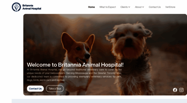 britanniaanimalhospital.com