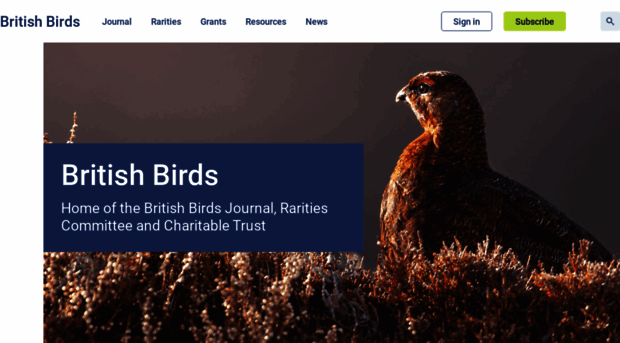 britishbirds.co.uk