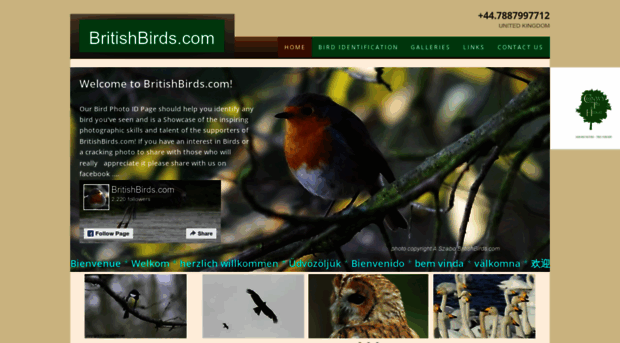 britishbirds.com