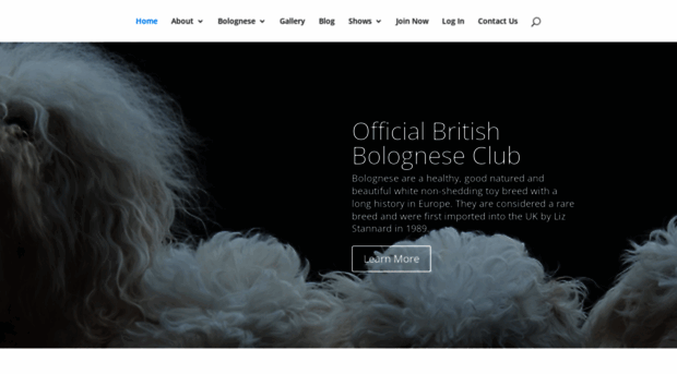 britishbologneseclub.co.uk
