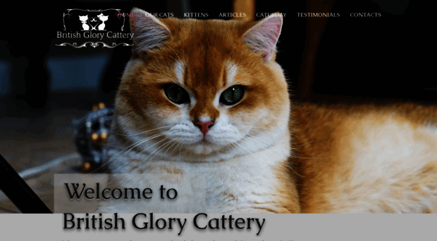 britishcatusa.com