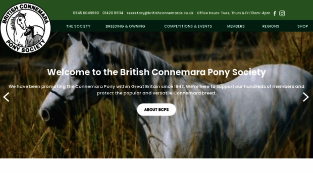 britishconnemaras.co.uk