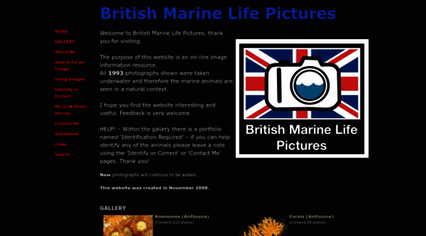 britishmarinelifepictures.co.uk