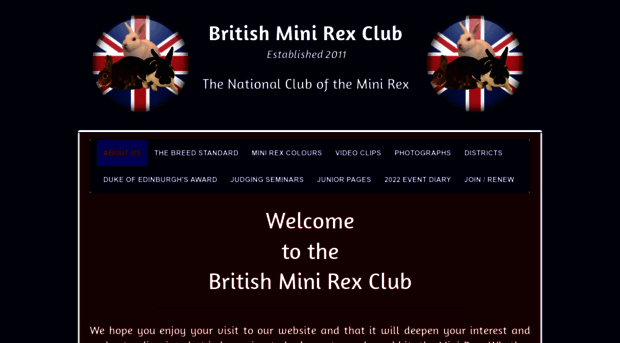 britishminirexclub.com