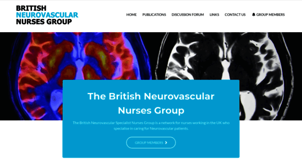 britishneurovascularnursesgroup.co.uk